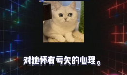 娱乐八卦爆料吃瓜文档,吃瓜群众必备的八卦秘籍