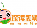 深读视频,探寻视频背后的真相与奥秘
