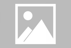 91精品直播在线观看